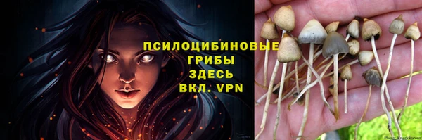 марки nbome Горняк