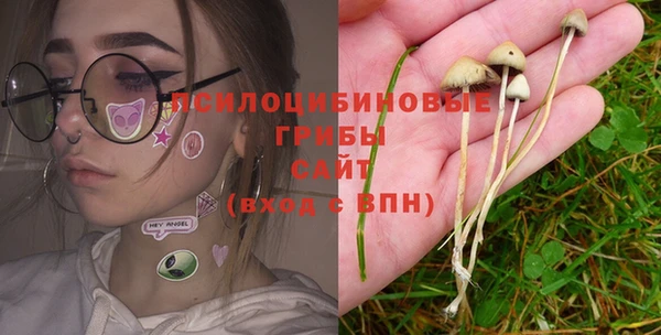 ECSTASY Горнозаводск